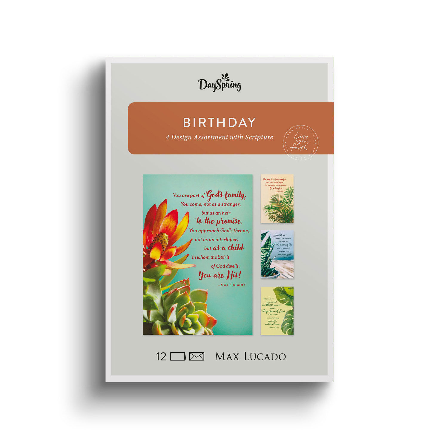 Max Lucado Art DaySpring Birthday Cards Assortment package front image number 2