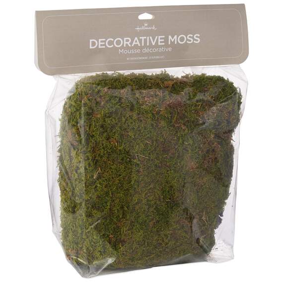 Decorative Moss, , large image number 2