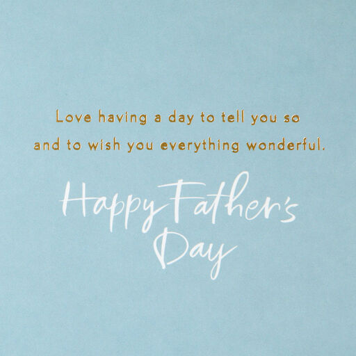 A Wonderful Everything Father's Day Card for Father-in-Law, 