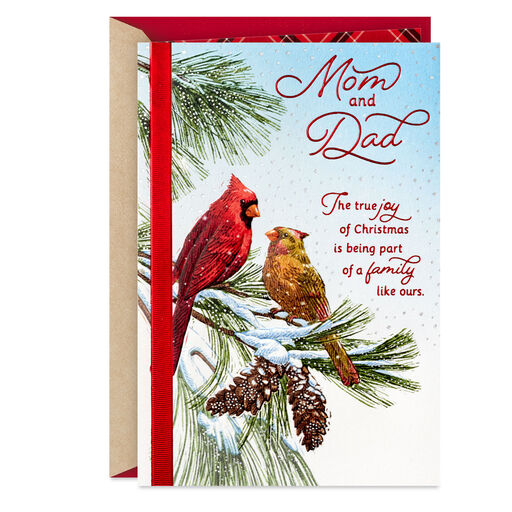 Mom and Dad, You've Given Me So Much Christmas Card, 