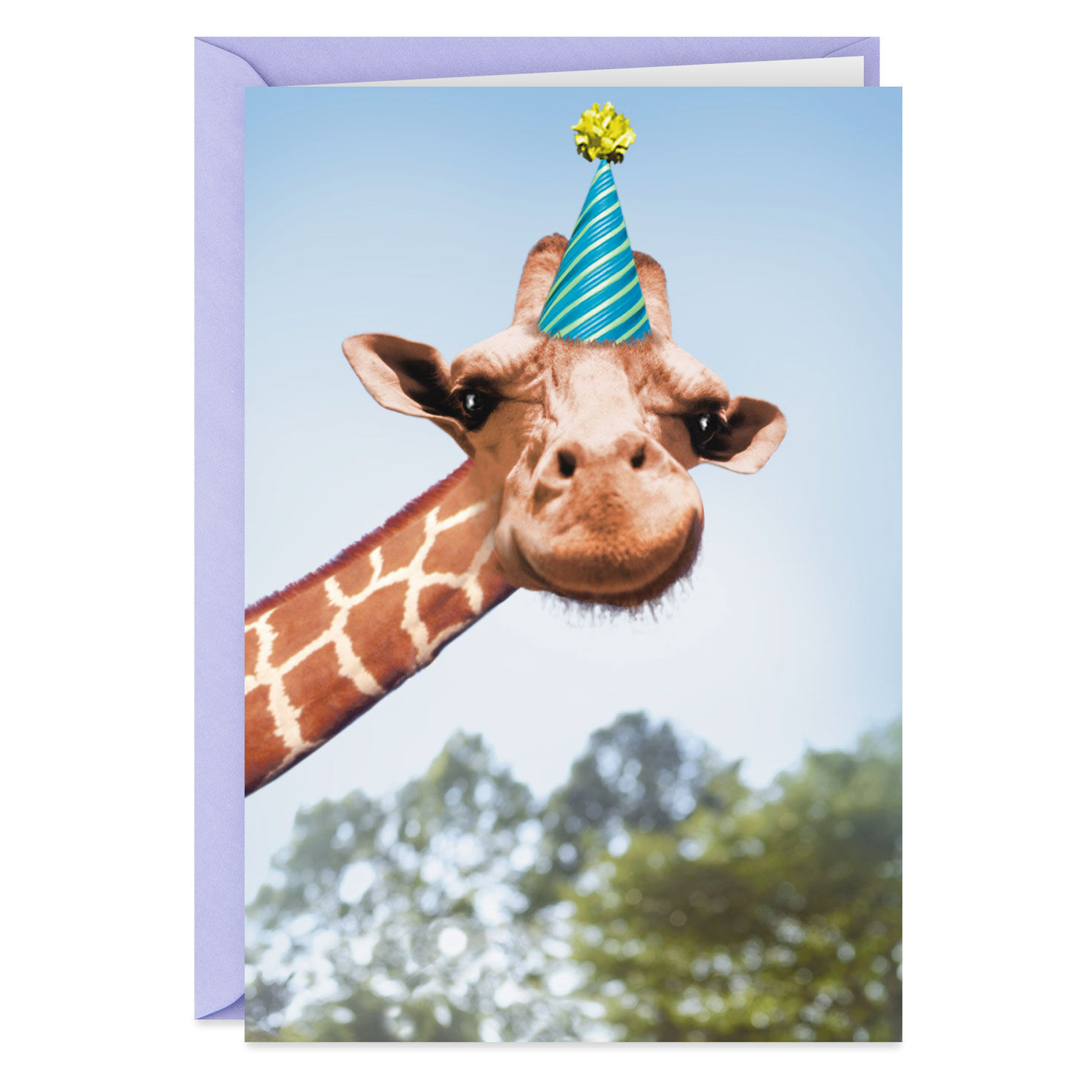 1ST HAPPY BIRTHDAY CARD Hallmark Greeting Card Now You're ONE Giraffe 1ST HAPPY BIRTHDAY CARD Hallmark Greeting Card Now You're ONE Giraffe