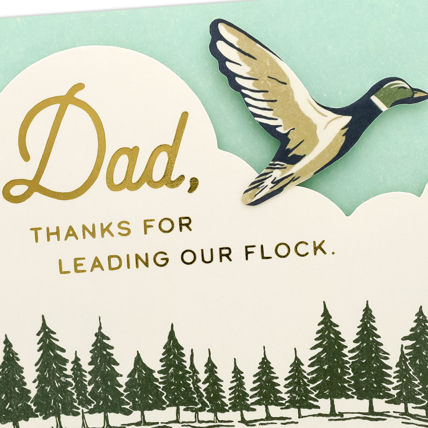 Duck Flying Over Pond Dad Father's Day Card From All Card Front Detail image number 4