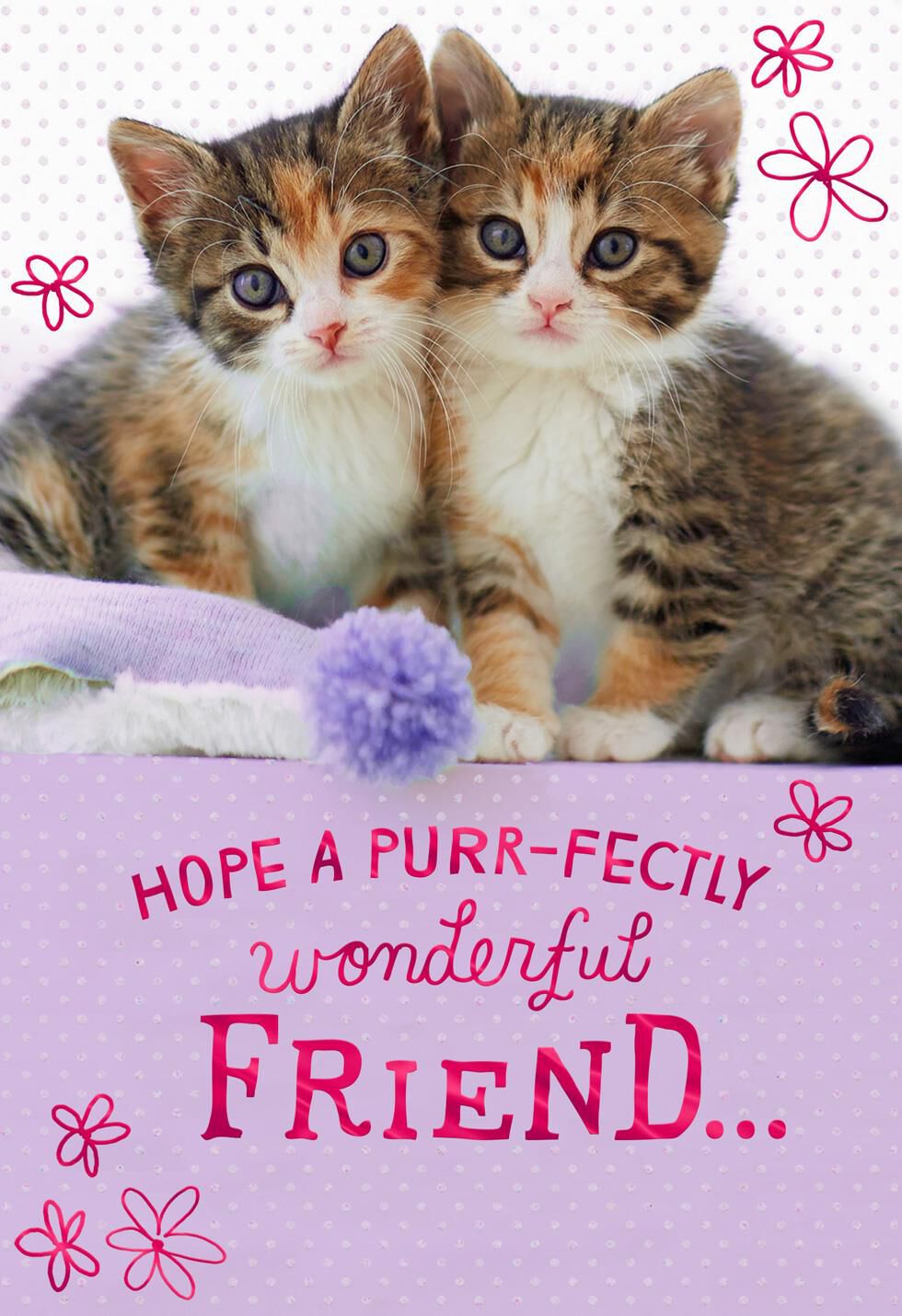 Purr-fectly Wonderful Kittens Birthday Card for Friend