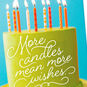 Hope Your Wishes Come True Birthday Card, , large image number 4