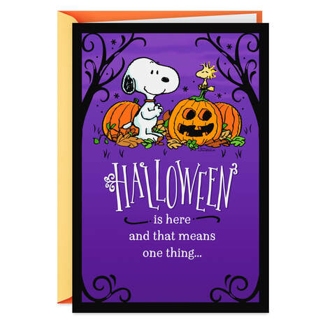 Peanuts® Snoopy and Woodstock With Pumpkins Halloween Card, , large