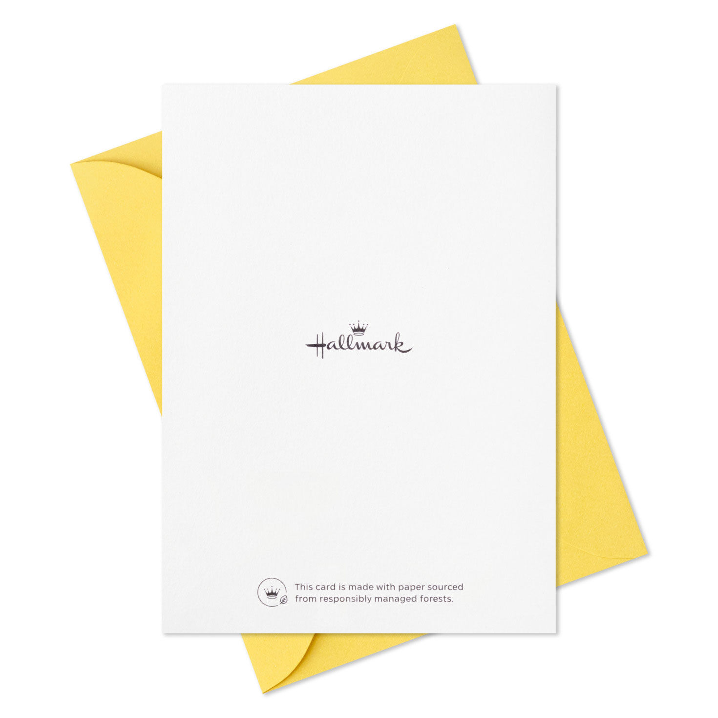 Happy Daisies Boxed Blank Thank-You Notes, Pack of 10, , large image number 5