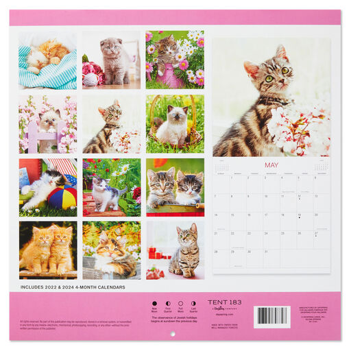 Kittens 2023 Wall Calendar, 12-Month, 