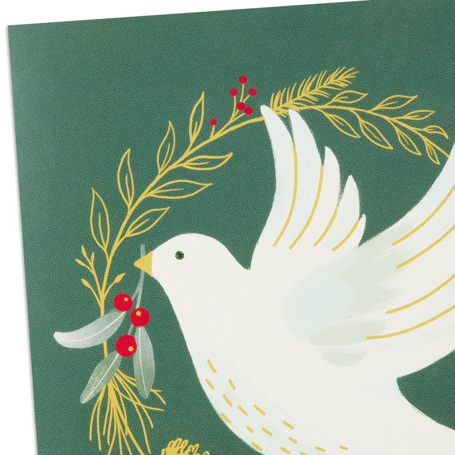 Dove on Green DaySpring Religious Christmas Cards Cover Detail image number 6