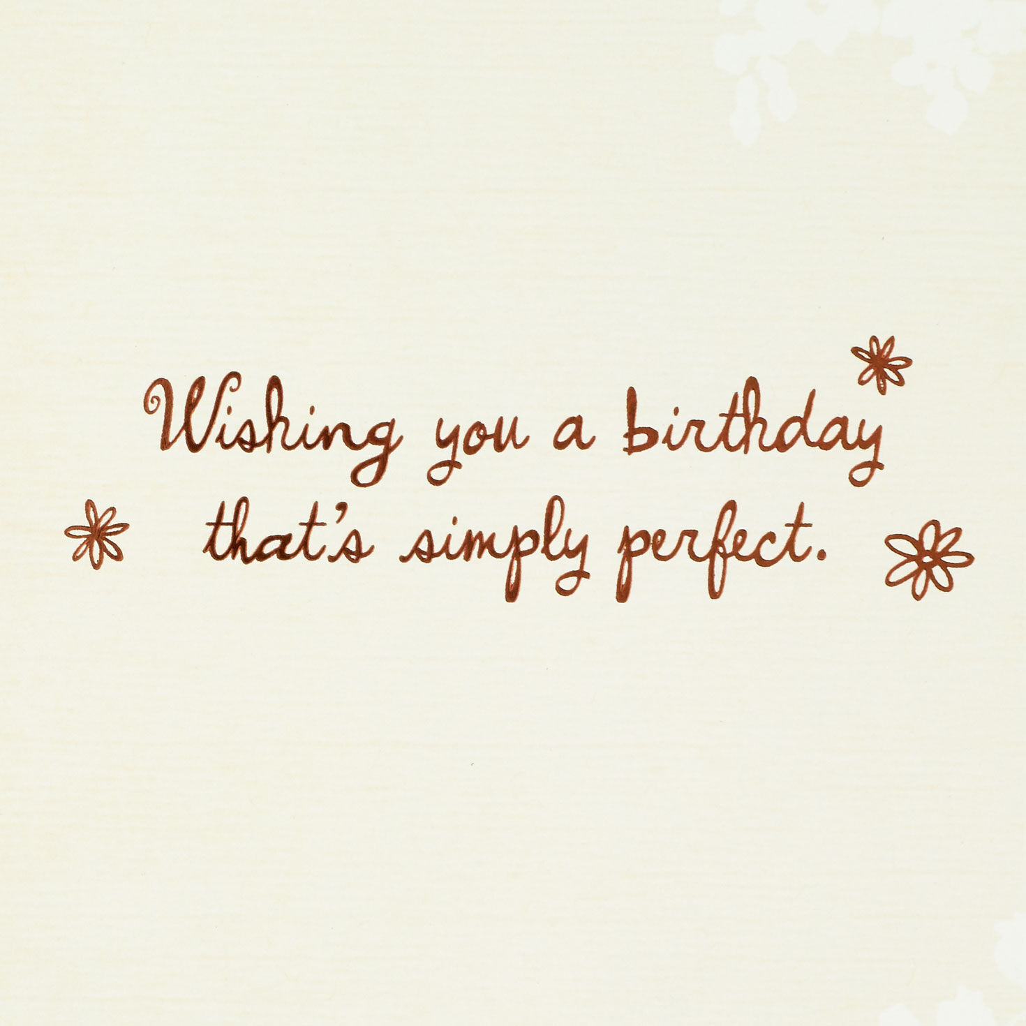 Succulents in Vase Birthday Card Sentiment image number 2