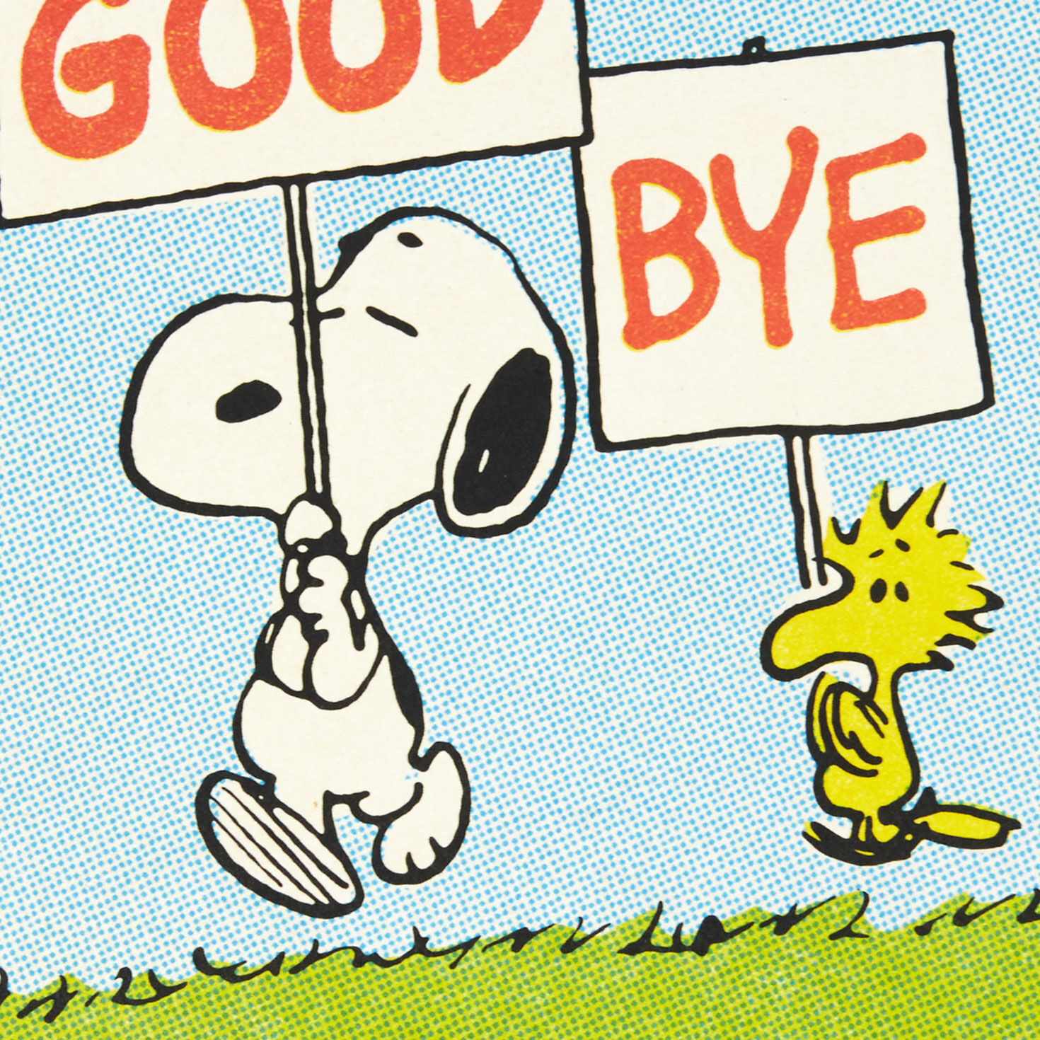 Peanuts Snoopy Funny Goodbye Card Card Front Detail image number 5