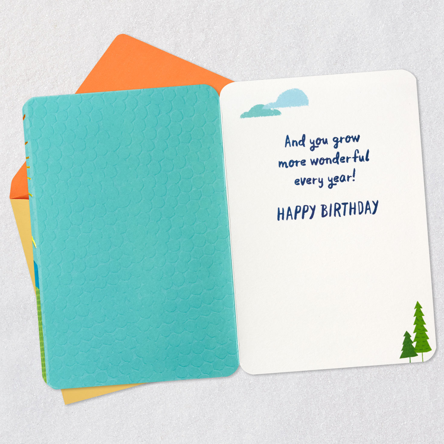 More Wonderful Every Year Birthday Card for Godson for only USD 4.99 | Hallmark