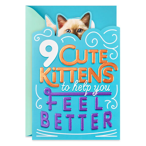 Cute Kittens Funny Get Well Card, 