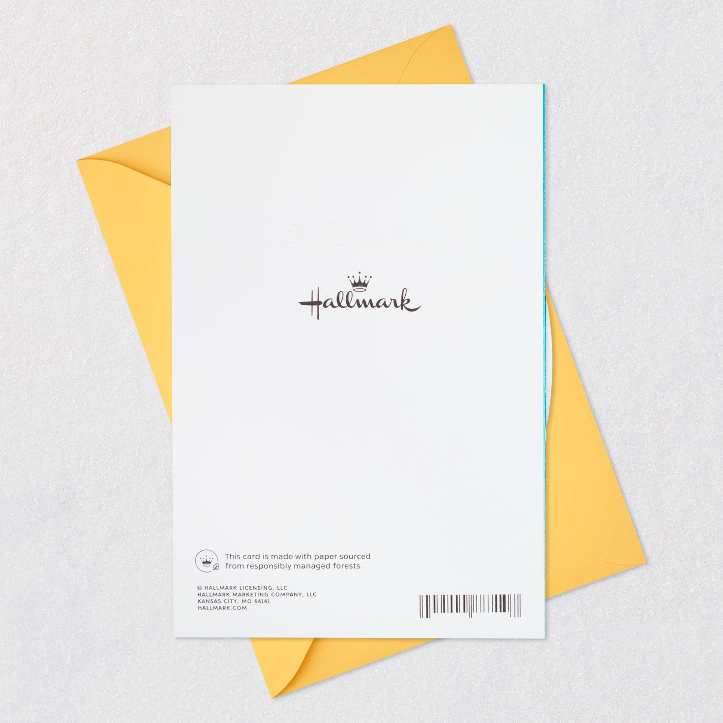 Blue Plaid Egg Easter Card for Grandson, , large image number 7