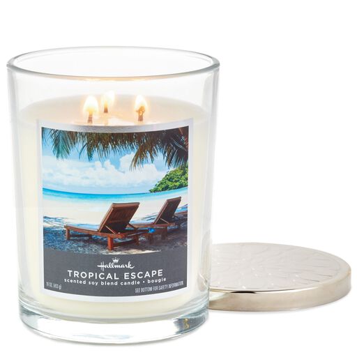 Candles Candle Holders Diffusers Wax Melts Hallmark