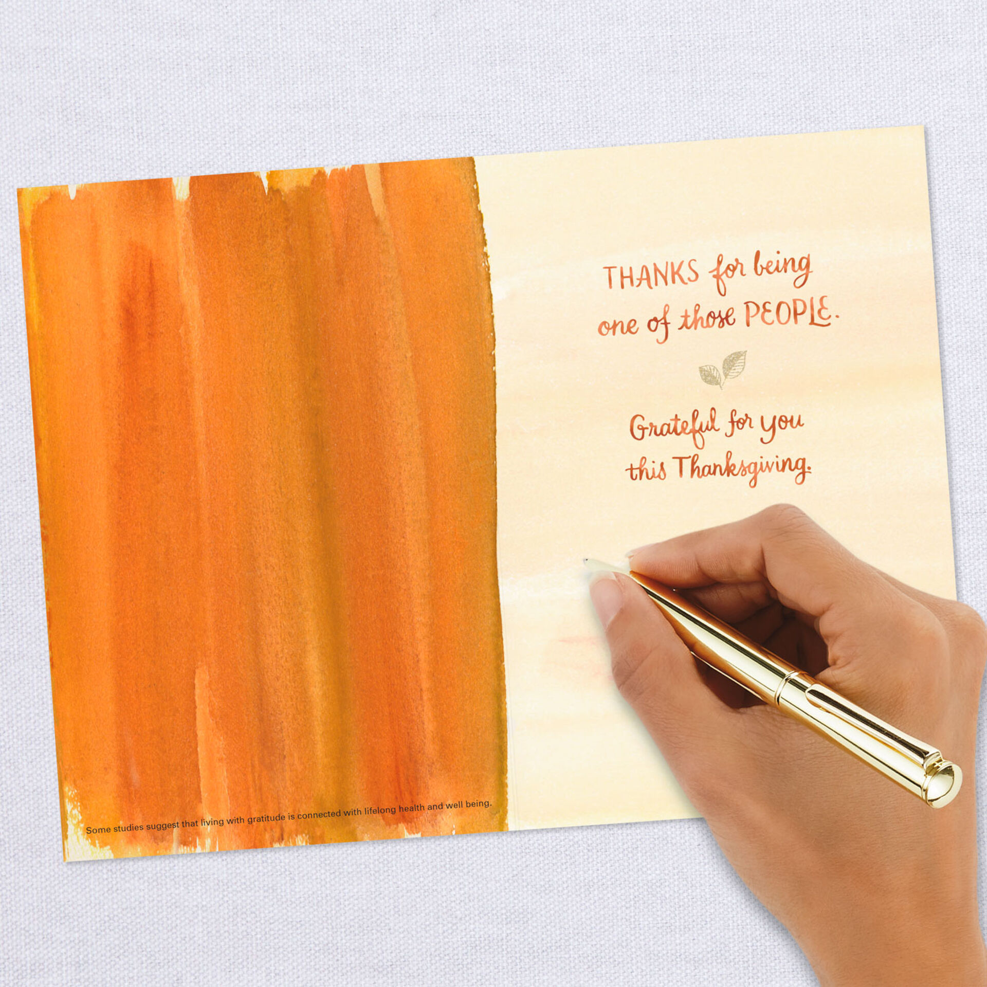 UNICEF Grateful for You Thanksgiving Card - Greeting Cards - Hallmark