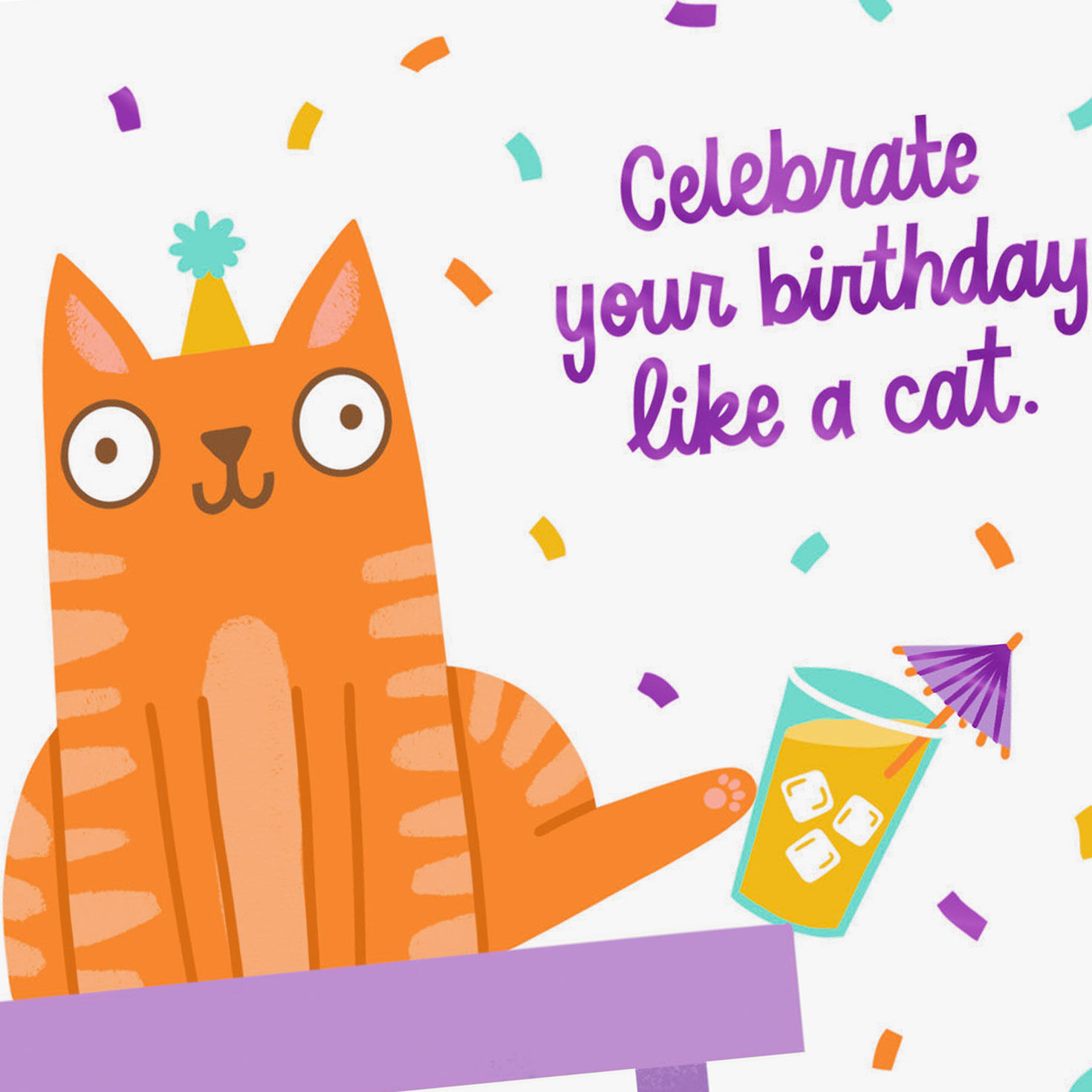 Do Anything You Damn Well Want Funny Birthday Card Card Front Detail image number 4