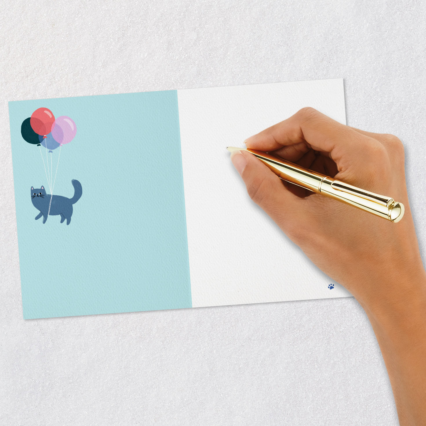 You're My Favorite Human Blank Birthday Card for only USD 3.99 | Hallmark