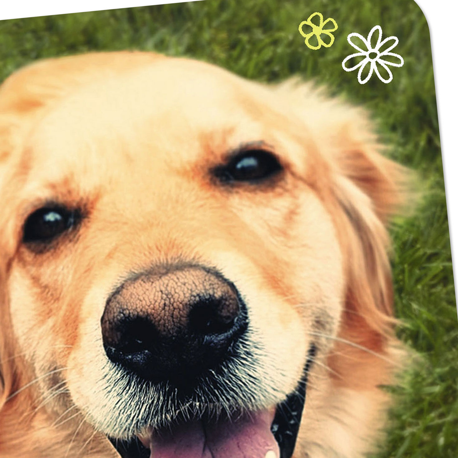 Golden Retriever and Flower Doodles Blank Card Card Front Detail image number 3