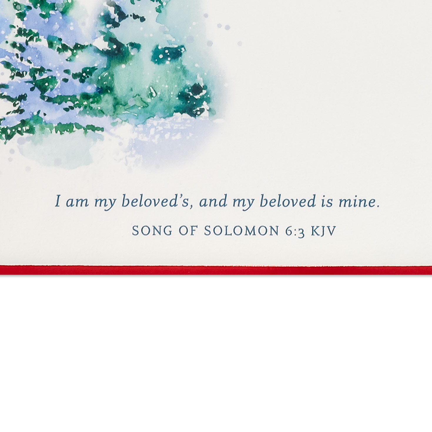 Snowy Winter Scene Religious Christmas Card Scripture image number 4