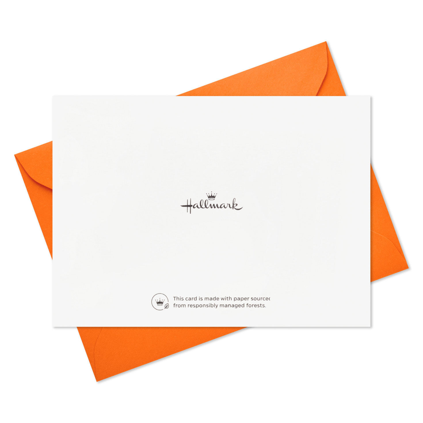 Wire Script on Pink Blank Thank You Note Cards Pack card back with envelope image number 5