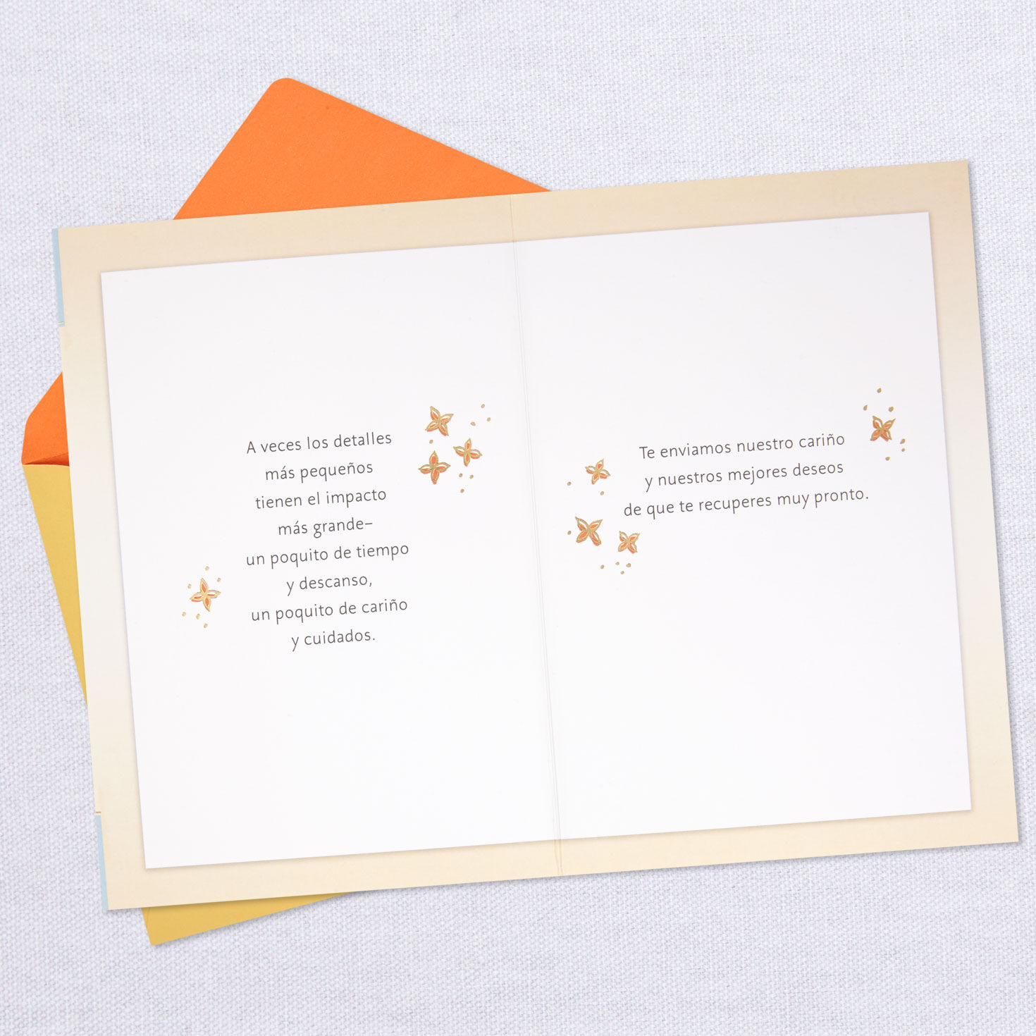 Sending Our Love Spanish-Language Get Well Card, , large image number 3