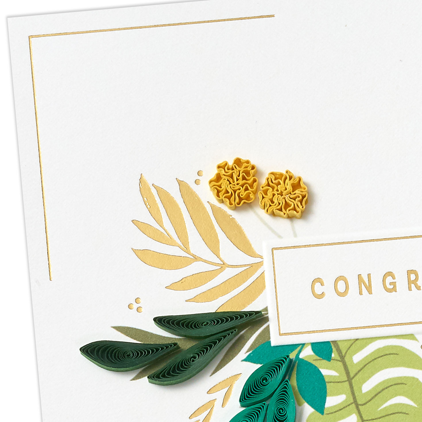 Tropical Leaves Quilled Paper Handmade Blank Congratulations Card ...