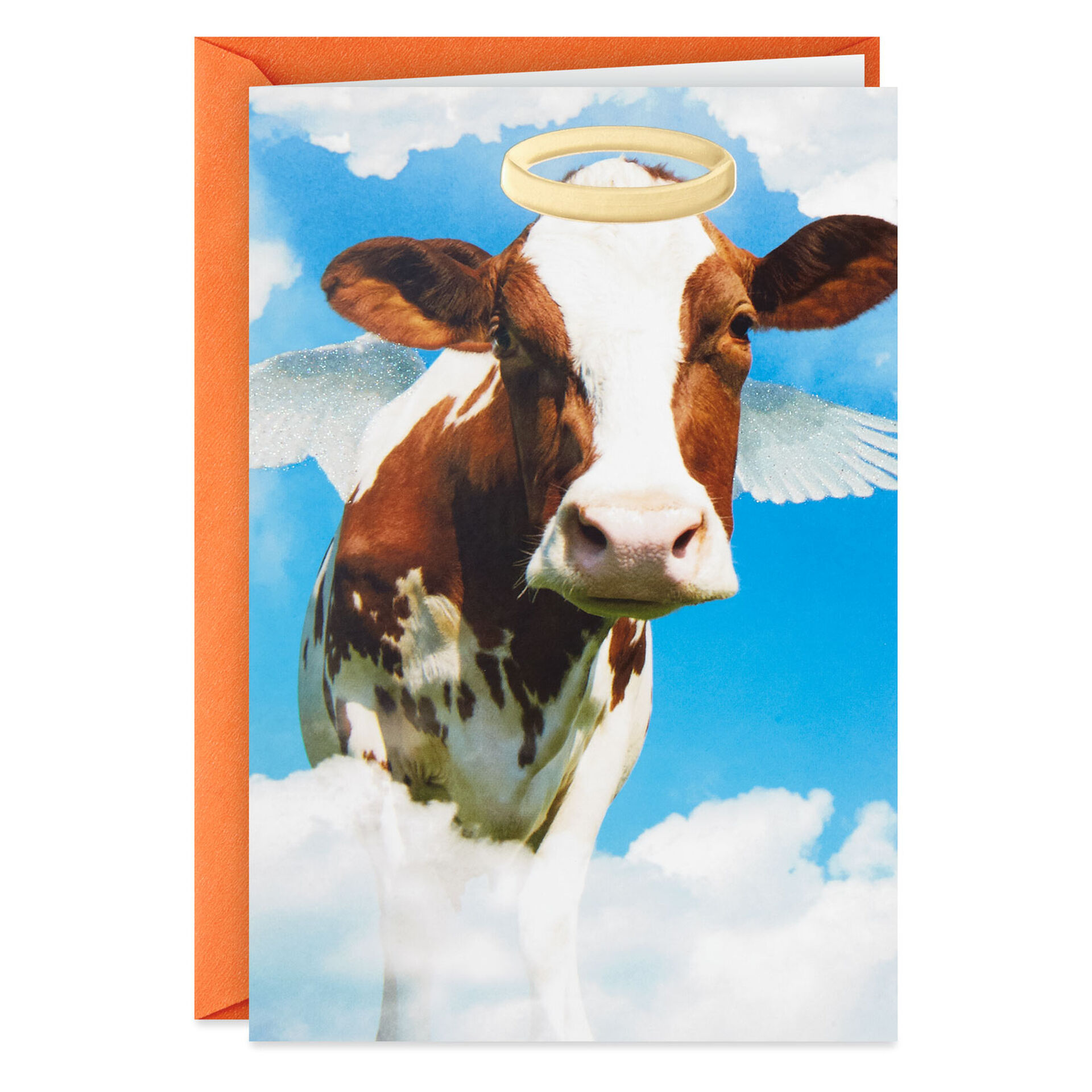 Holy Cow Funny Birthday Card - Greeting Cards - Hallmark