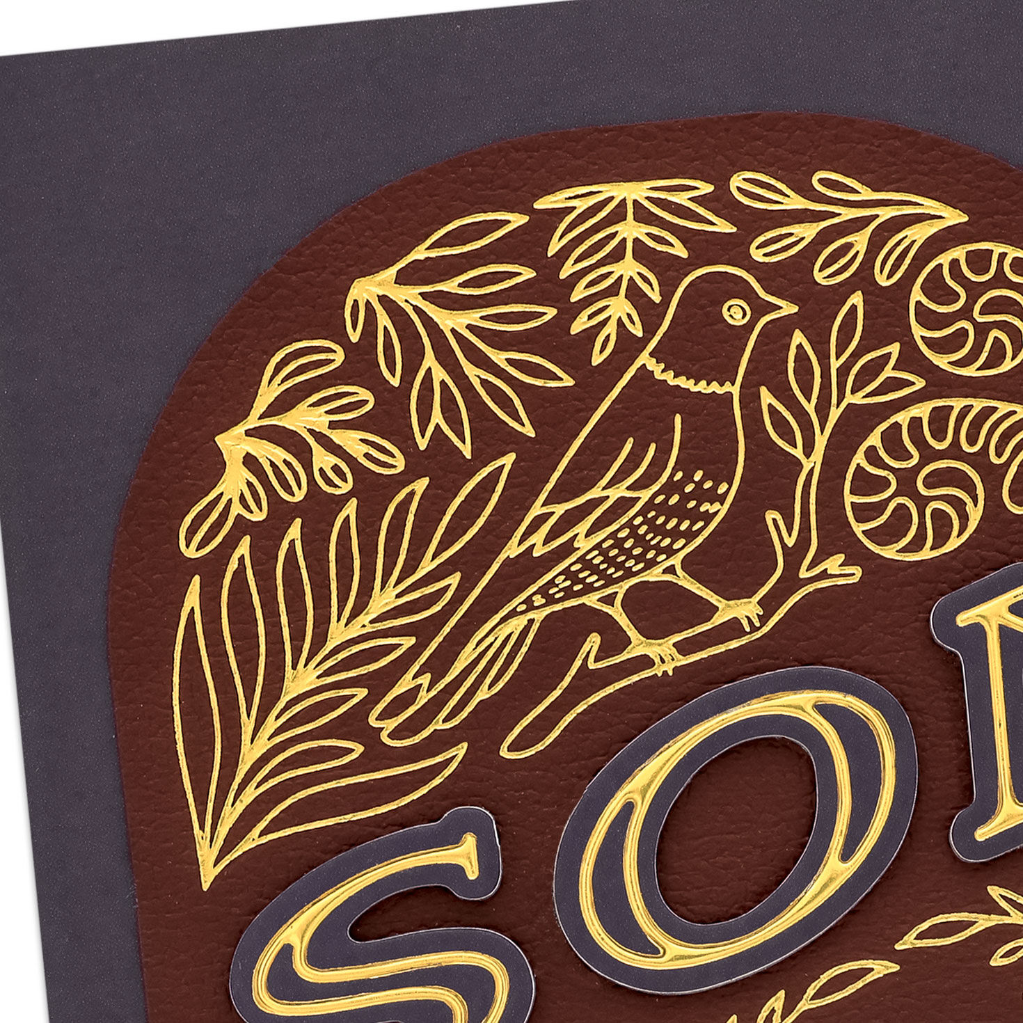 Faux Leather Bird and Greenery Son Birthday Card Card Front Detail image number 4