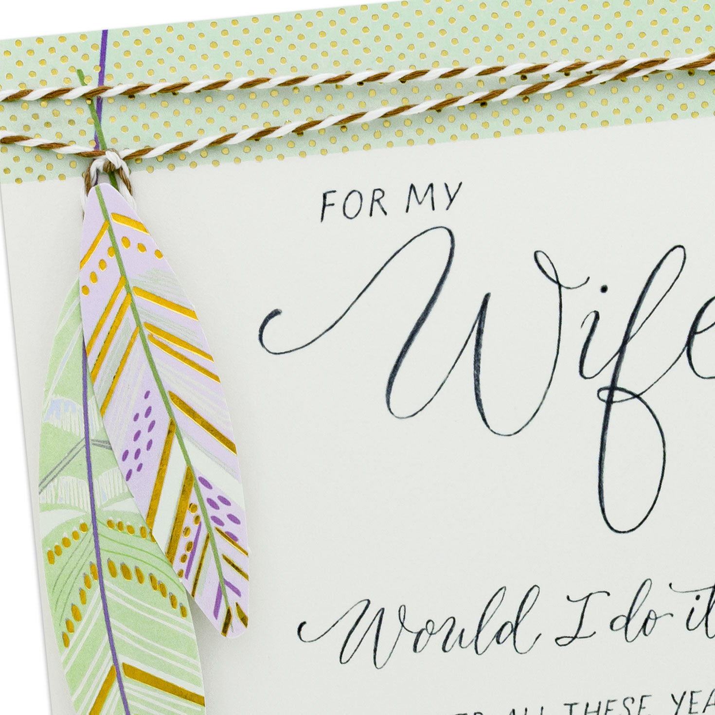 Green and Purple Feathers Wife Birthday Card Card Front Detail image number 5