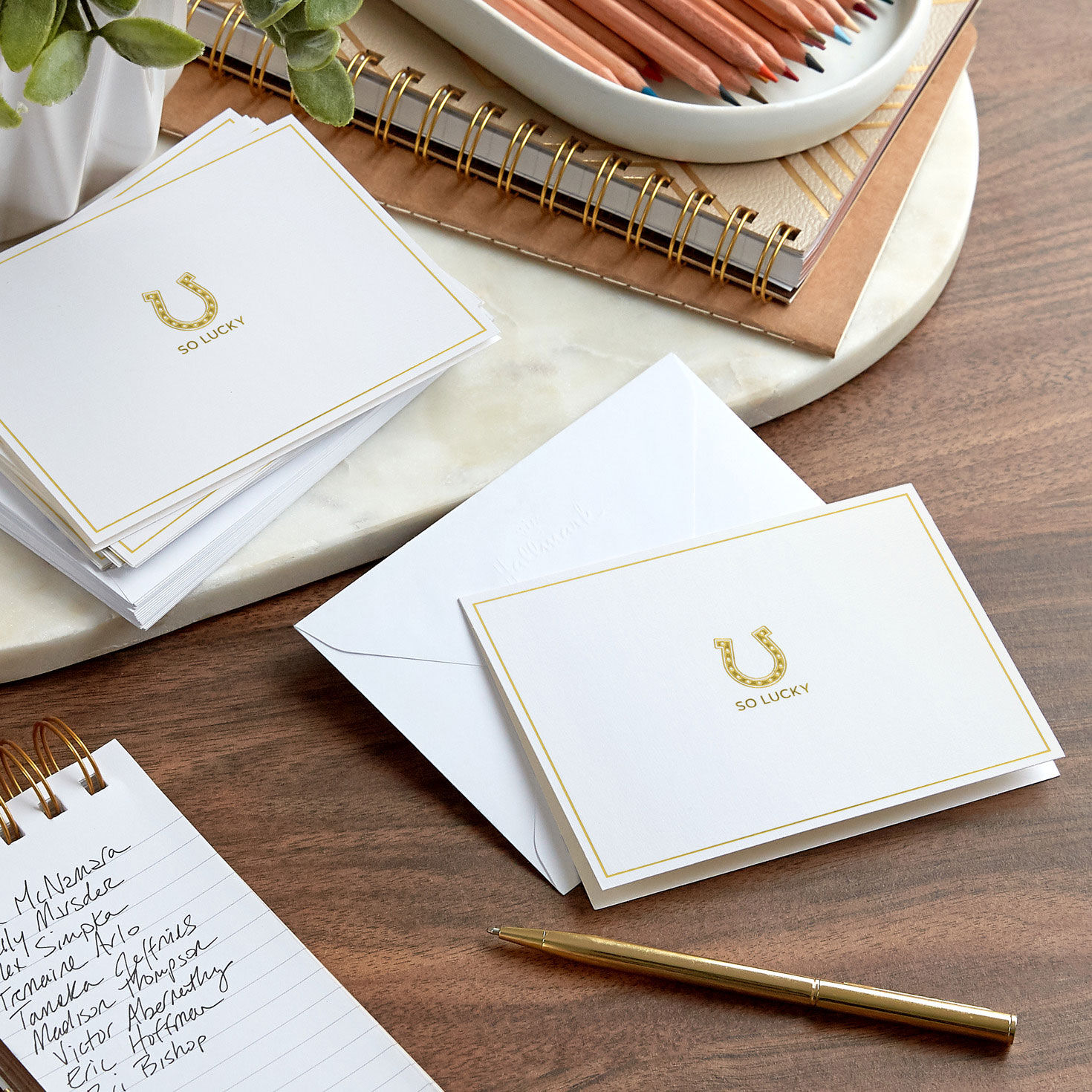 Lucky Horseshoe Boxed Blank Note Cards Pack  image number 6