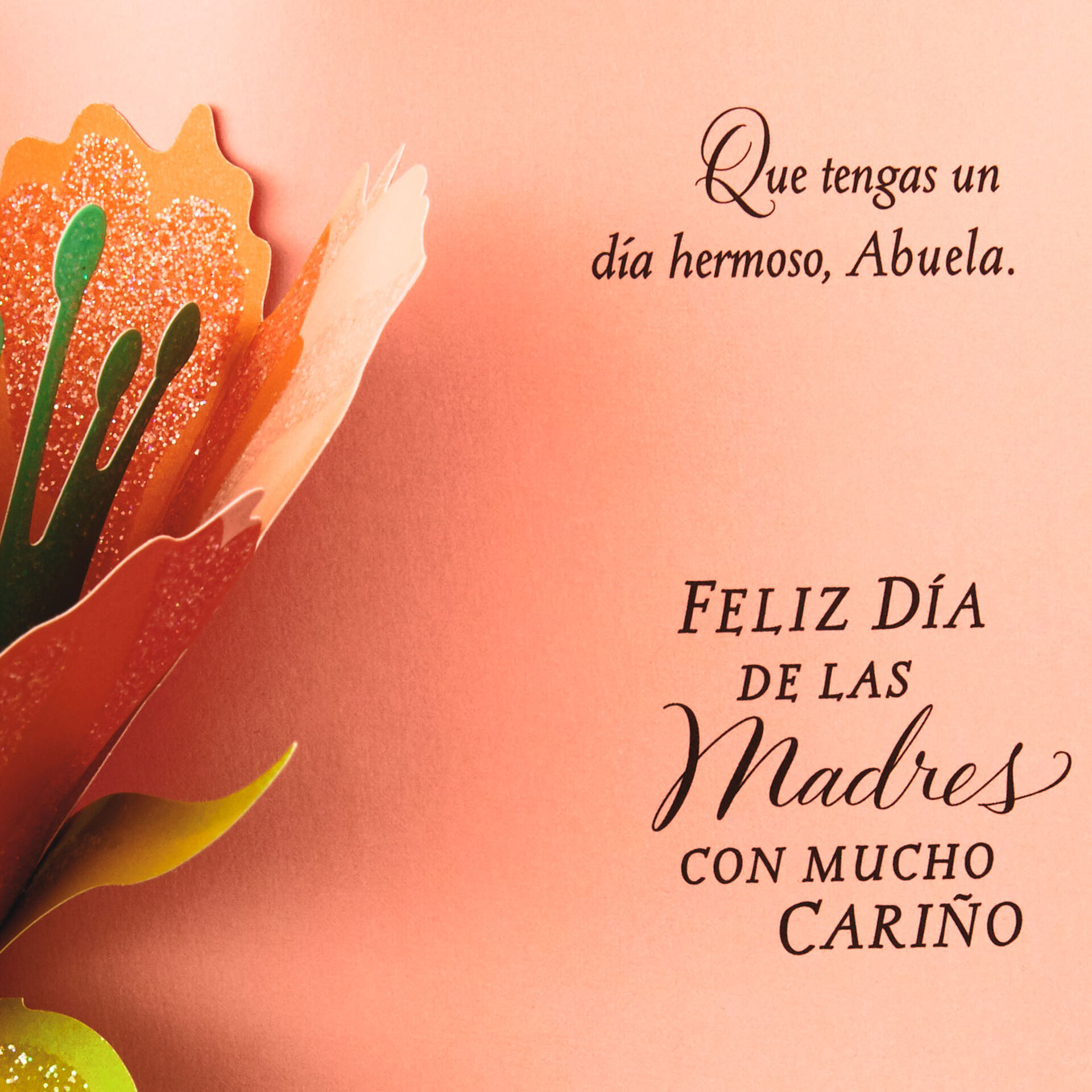 You Are Beautiful Spanish-Language Mother's Day Card for Grandmother