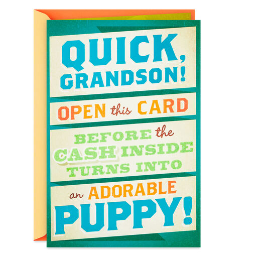 Money or Puppy Funny Pop-Up Birthday Card for Grandson, 