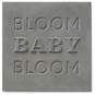 Bloom Baby Bloom Stamped Concrete Sign, 6x6, , large image number 1