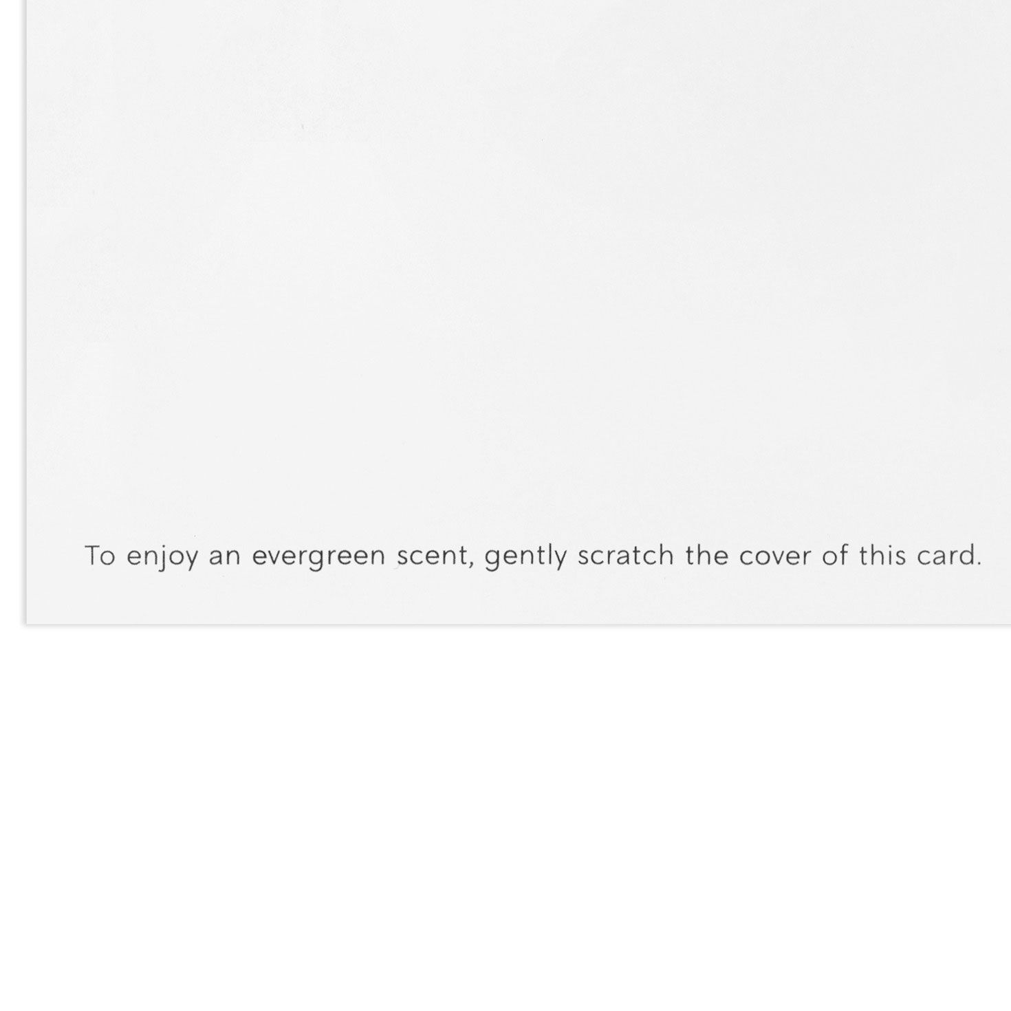 Wreath and Pine Scent Boxed Christmas Cards Sentiment Detail image number 5