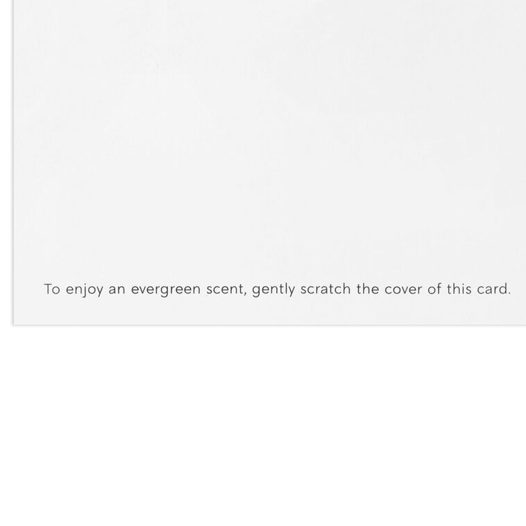 Wreath and Pine Scent Boxed Christmas Cards Sentiment Detail image number 5