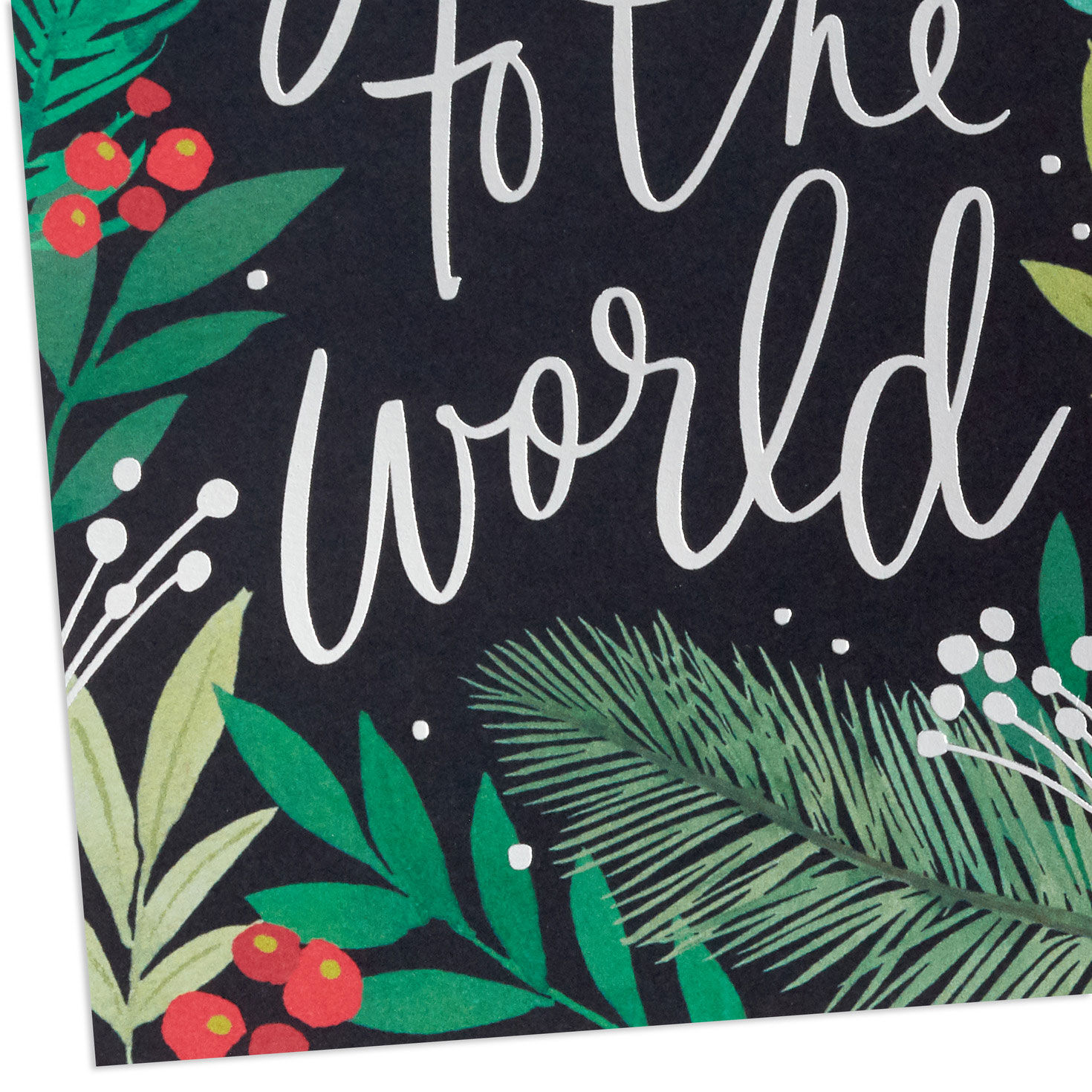 Joy to the World Packaged Christmas Cards, Set of 5, , large image number 5