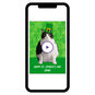 Personalized Leprechaun Cat St. Patrick’s Day Card  image number 1
