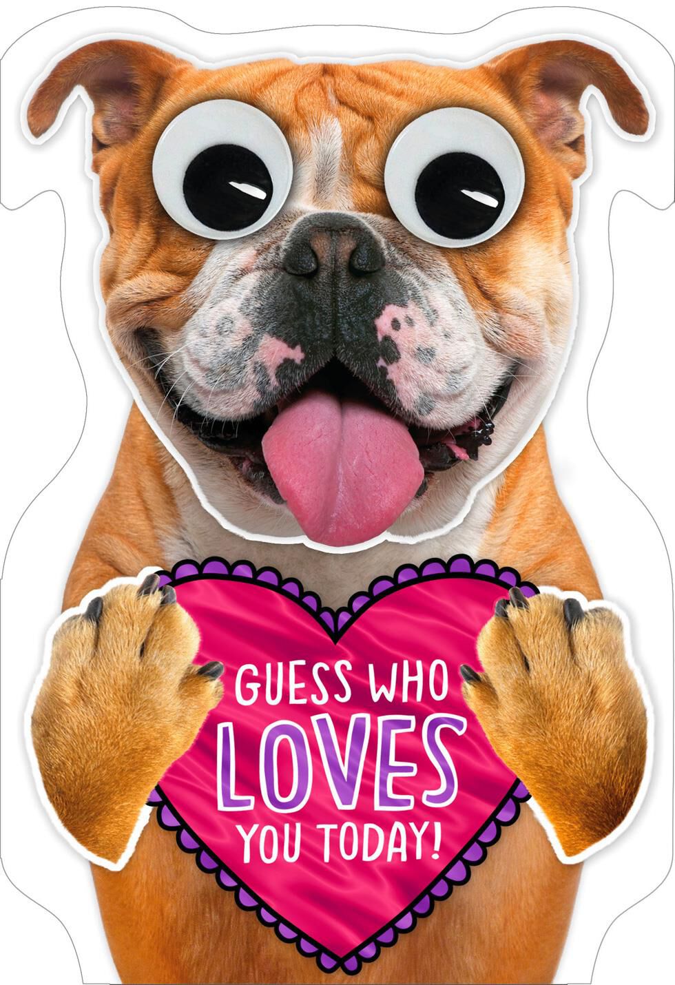 Guess Who Loves You Valentine's Day Card