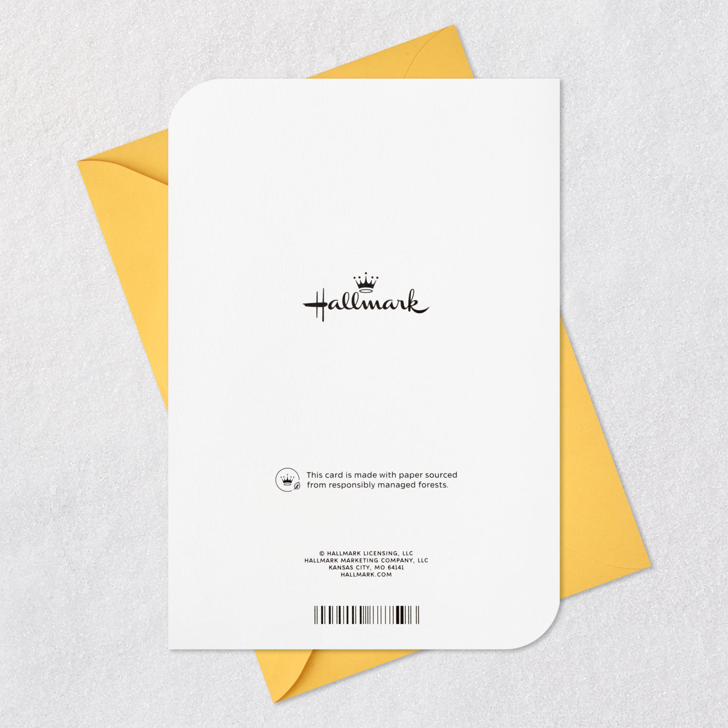 Big Deal 13th Birthday Card, , large image number 7