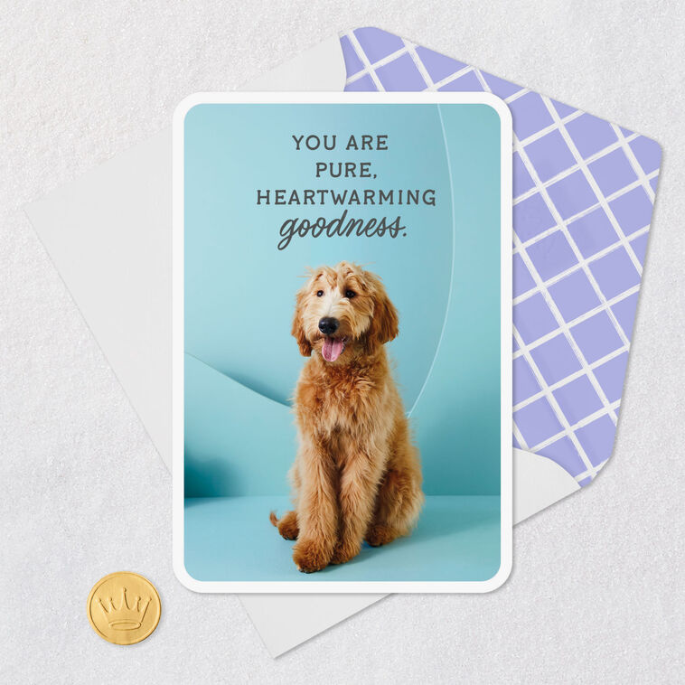 Goldendoodle Dog Pure Goodness Thank You Card Card Front with Envelope and Gold Seal image number 5