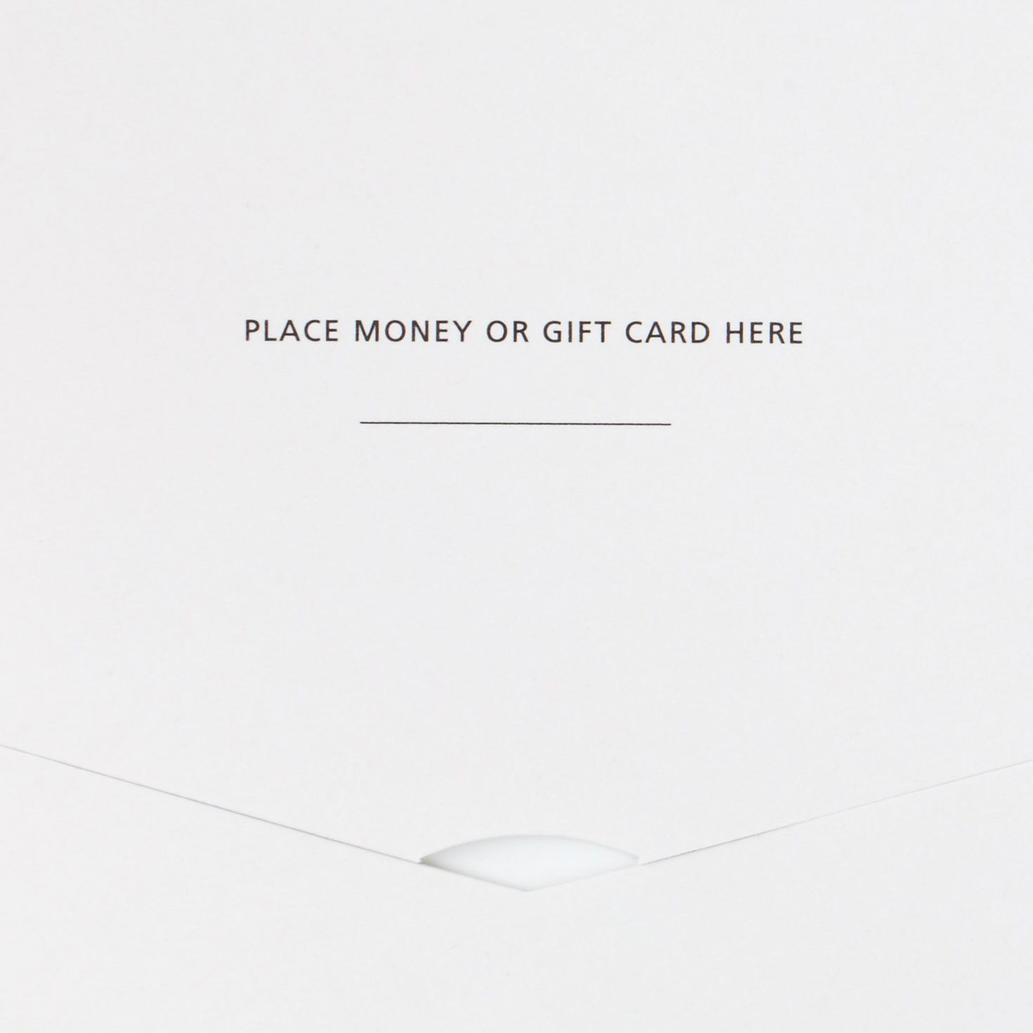 Balloons and Greenery Wedding Money Holder Card sentiment image number 3