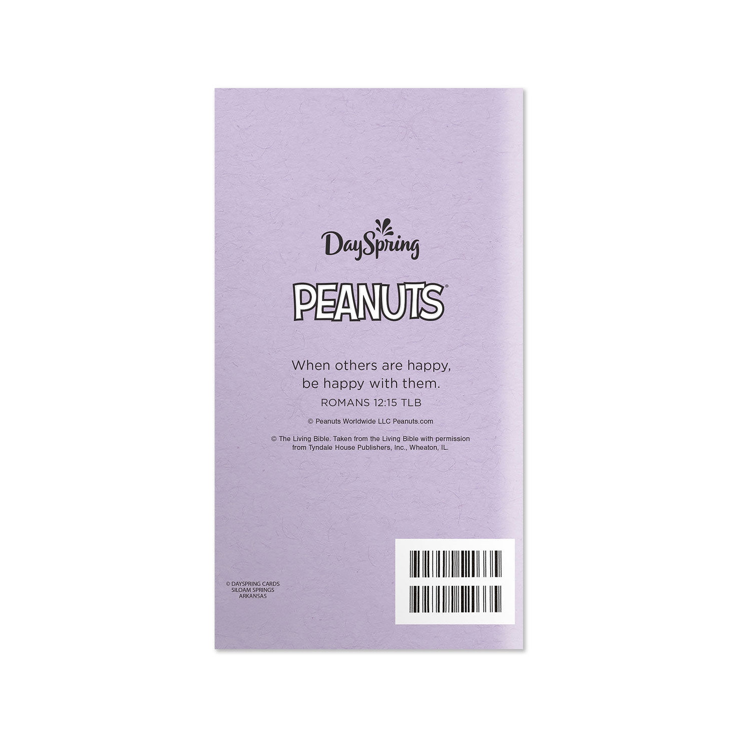 Peanuts Linus Piano 2027 2028 28-Month Planner Back image number 2