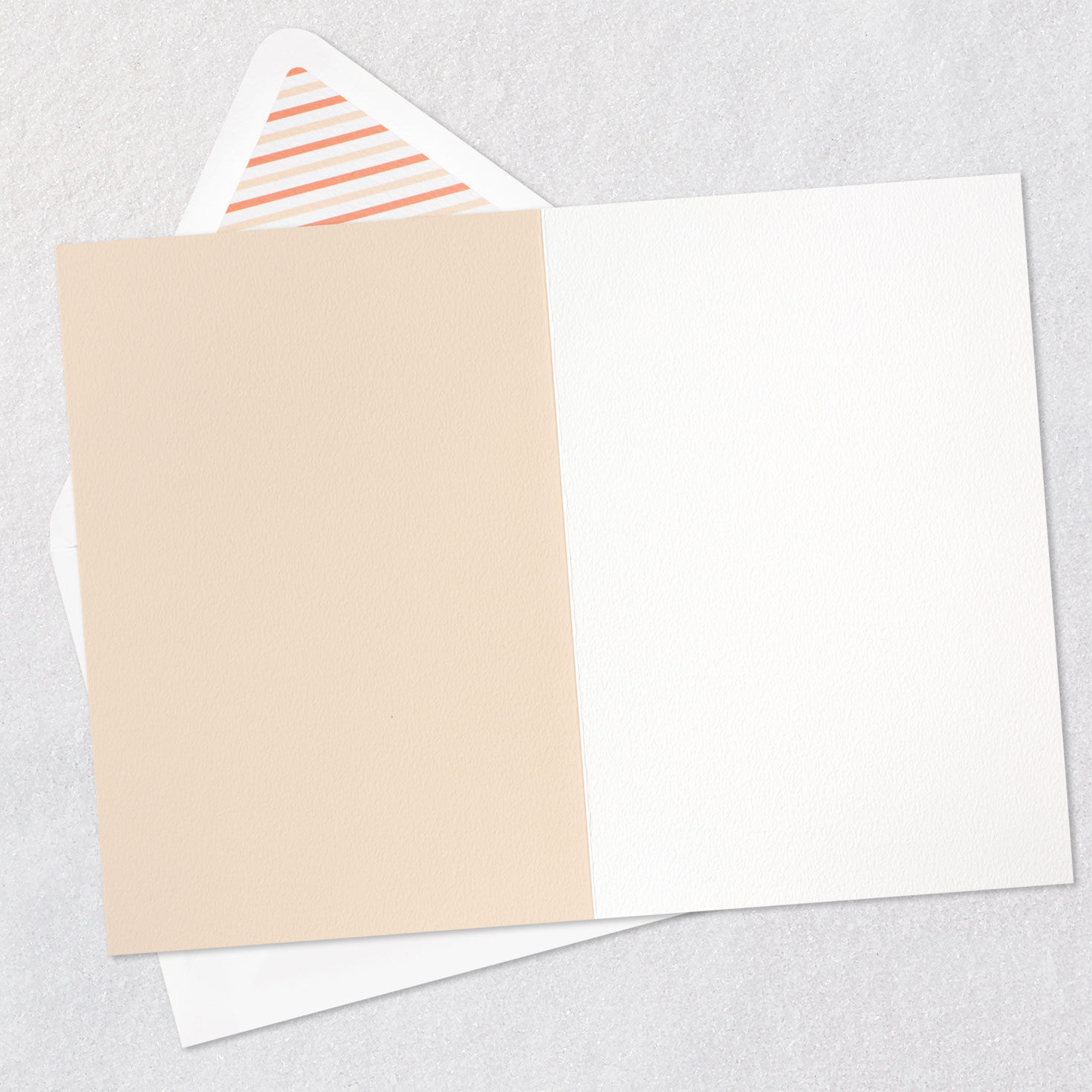 Houseplant on Blush Signature Blank Card  image number 2