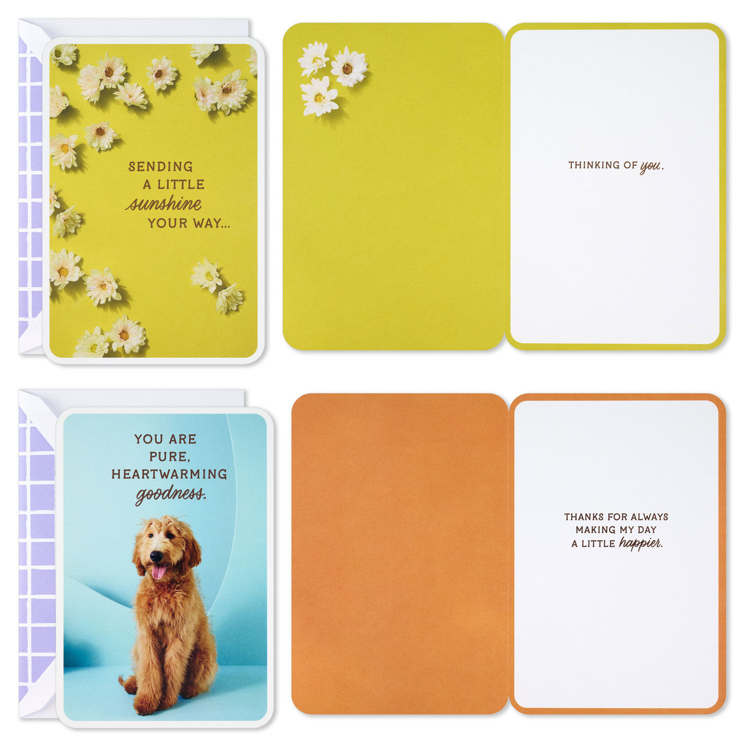 Dog and Cat Just Because Cards Pack With Stickers Card Front with Sentiment image number 4