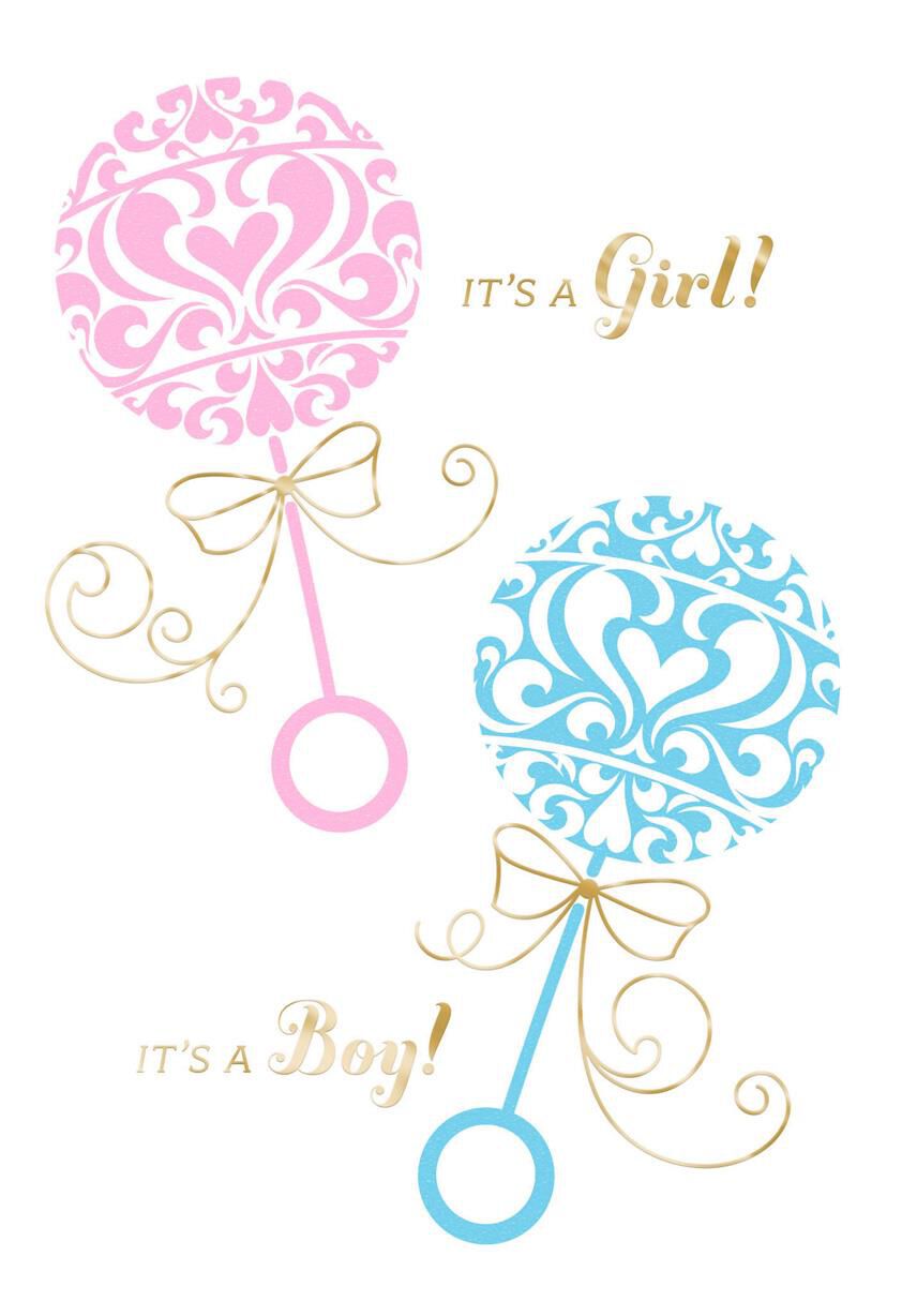 Rattles New Baby Twins Girl and Boy Card