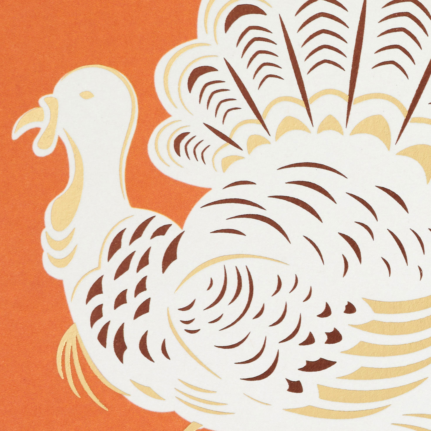 Turkey on Orange Thanksgiving Card Pack Cover Detail image number 4