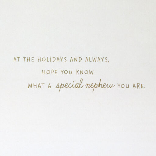 You're a Special Person Christmas Card for Nephew, 