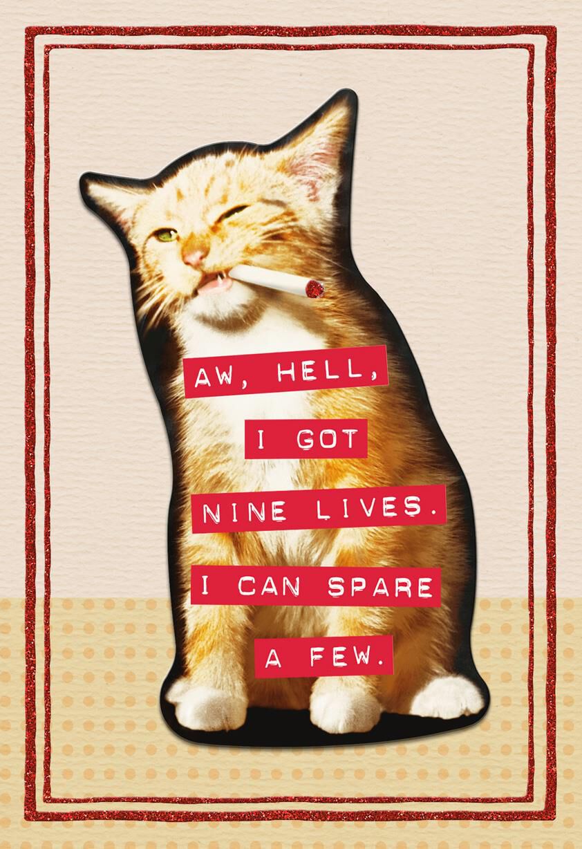 Nine Lives Funny Birthday Card