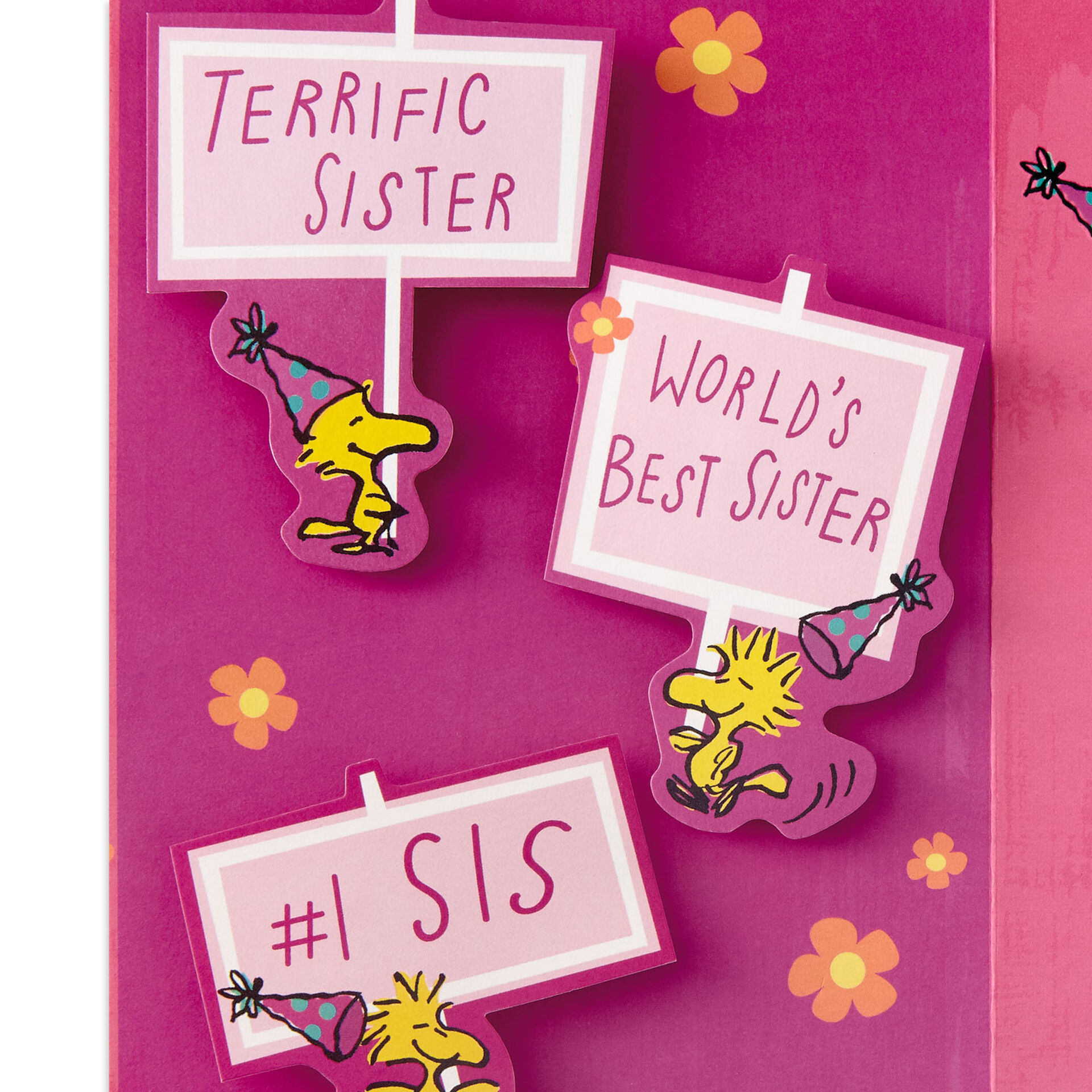 Peanuts® Snoopy and Woodstock World's Best Sister Pop-Up Birthday Card