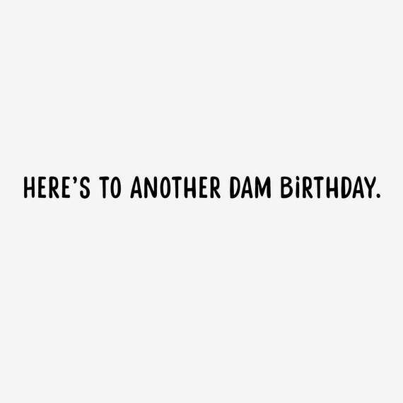 Another Dam Birthday Funny Birthday Card, , large image number 2